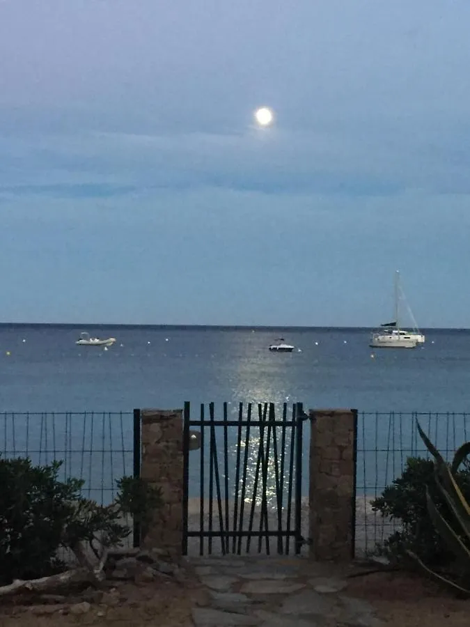 Villa Cactus Cavalaire